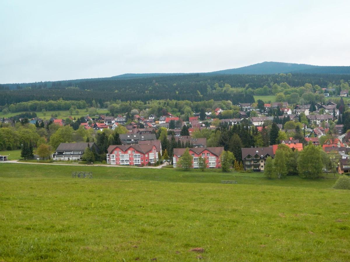 Heller Am Hasselkopf